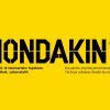 Hondakin 012